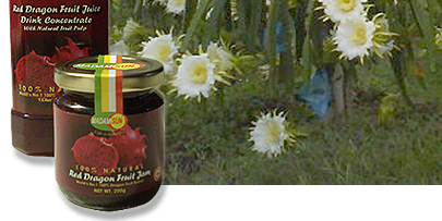Dragob Fruit jam