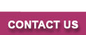 Contact Dragontini
